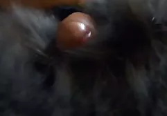 Ki Eşek potno alt yazili şakası