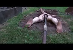 - Birkaç video tr altyazılı porn video Sikiş